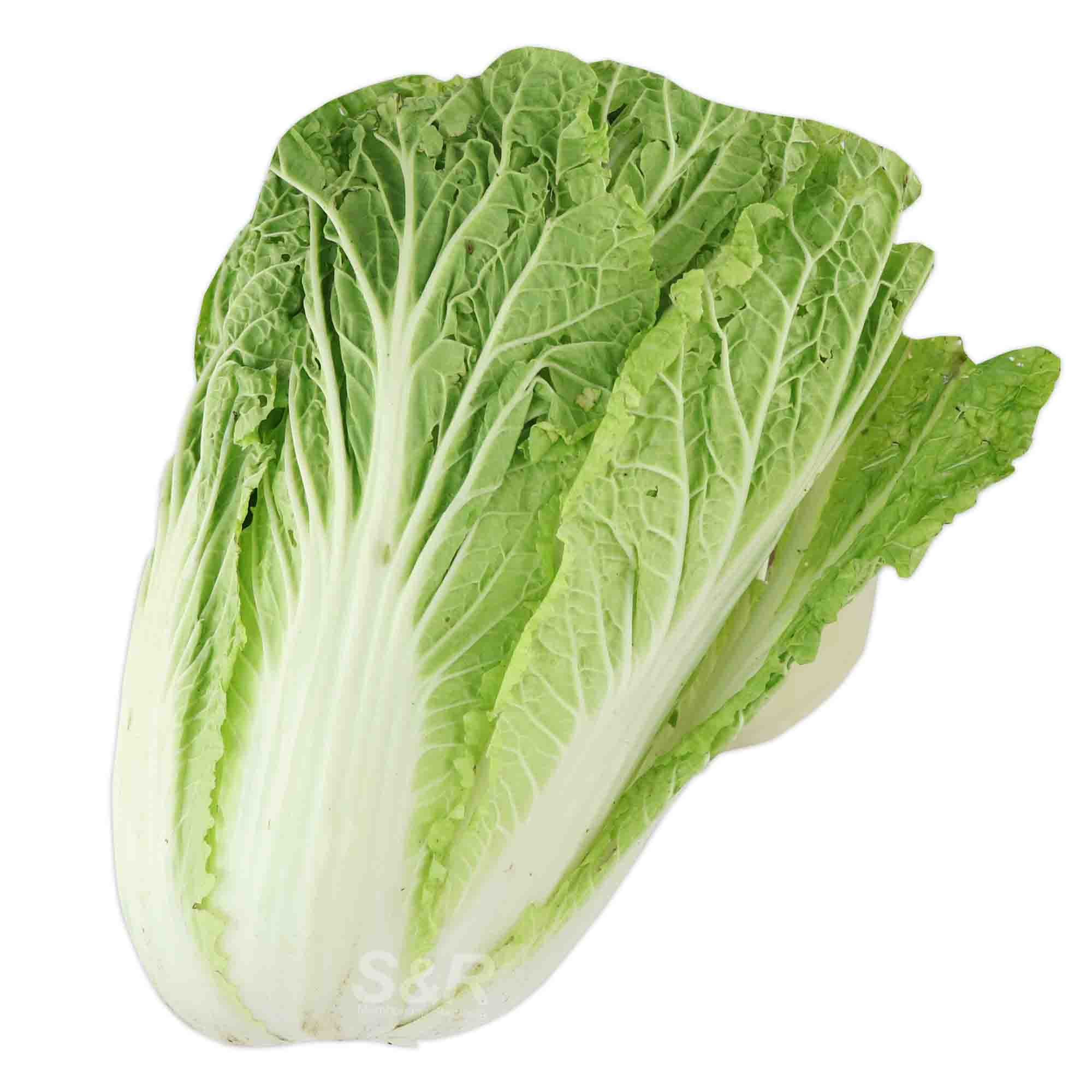 Organic Wombok Pechay approx. 1.2kg Organic Wombok Pechay approx. 1.2kg